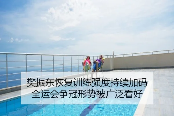 樊振东恢复训练强度持续加码 全运会争冠形势被广泛看好