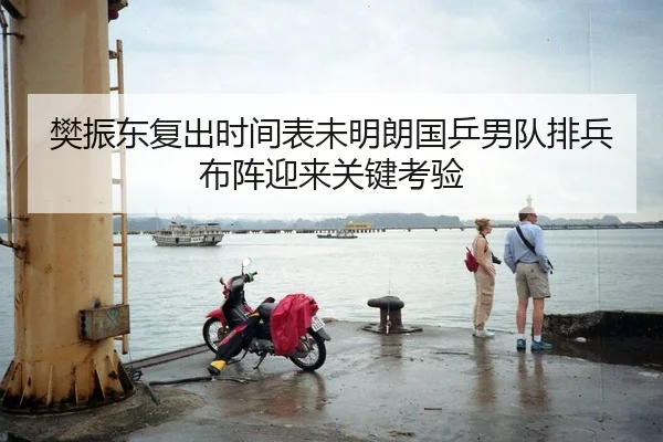樊振东复出时间表未明朗国乒男队排兵布阵迎来关键考验